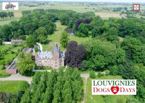 Castle of Louvignies