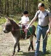 Donkey ride