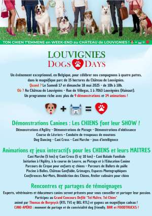 Castle of Louvignies