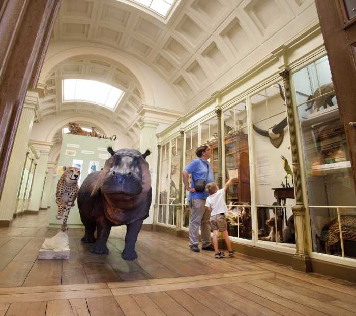 Musée d'Histoire Naturelle et Vivarium